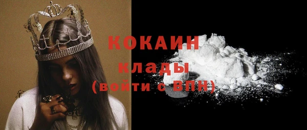 прущие грибы Волосово