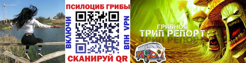 Псилоцибиновые грибы прущие грибы  Дудинка 